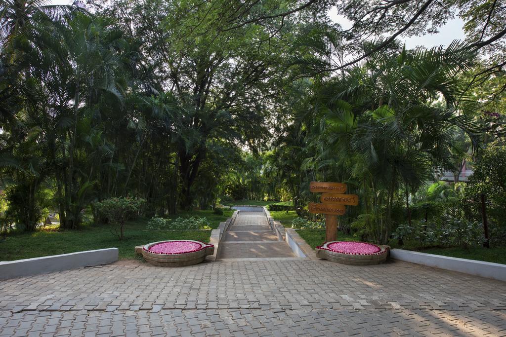 The Windflower Resort & Spa, Mysore Eksteriør billede